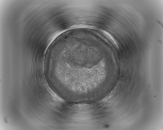 X0000094941244200712201108