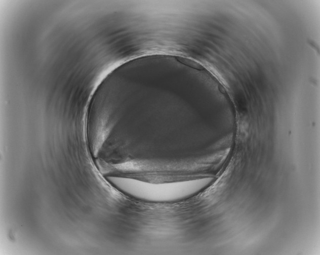 X0000094941246200712201108