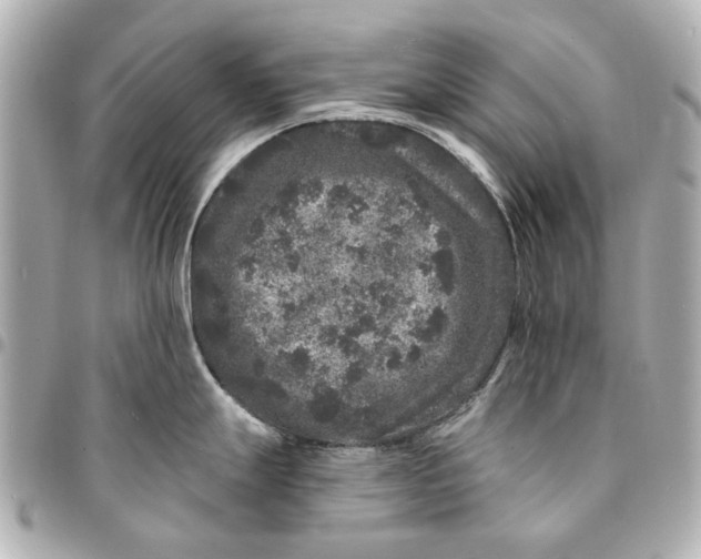 X0000094941247200712201108