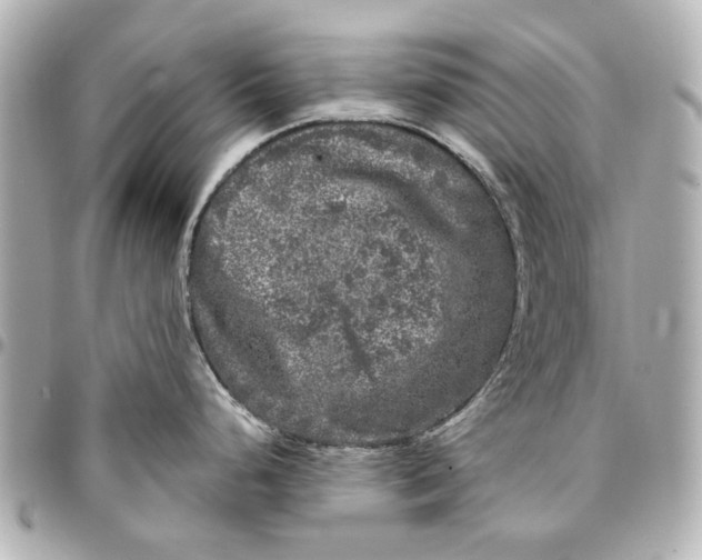 X0000094941248200712201108