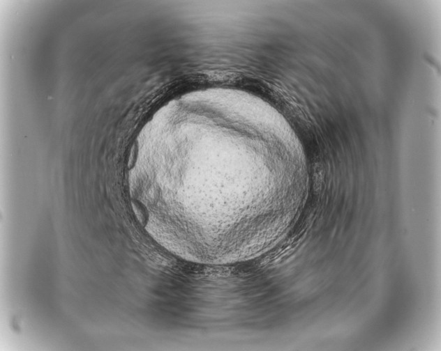 X0000094941249200712201107