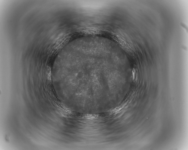 X0000094941251200712201107