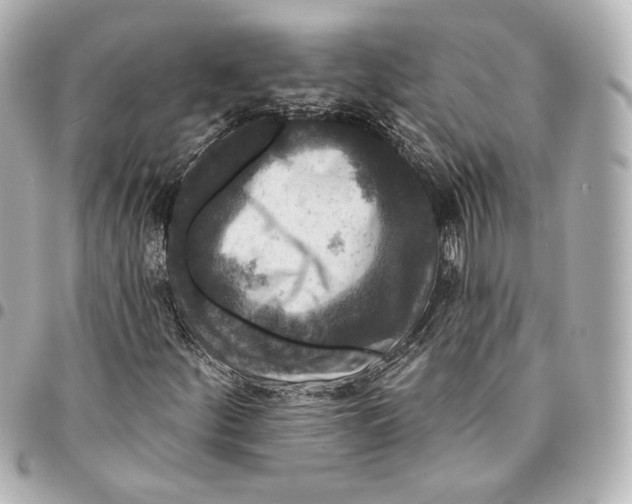 X0000094941252200712201107