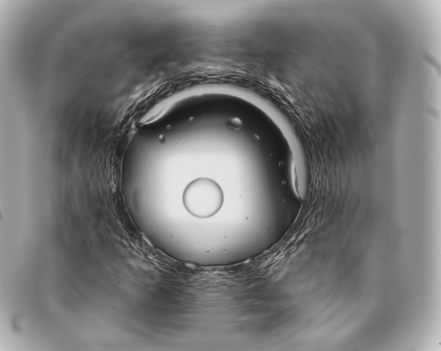 X0000094941253200712201107