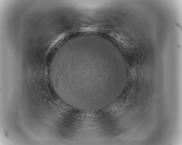 X0000094941254200712201107