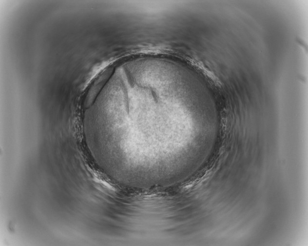 X0000094941256200712201107