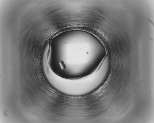 X0000094941257200712201107