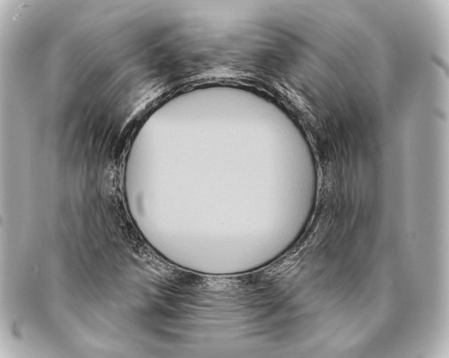 X0000094941258200712201107