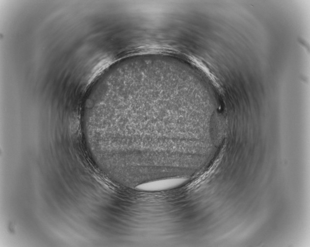 X0000094941259200712201107