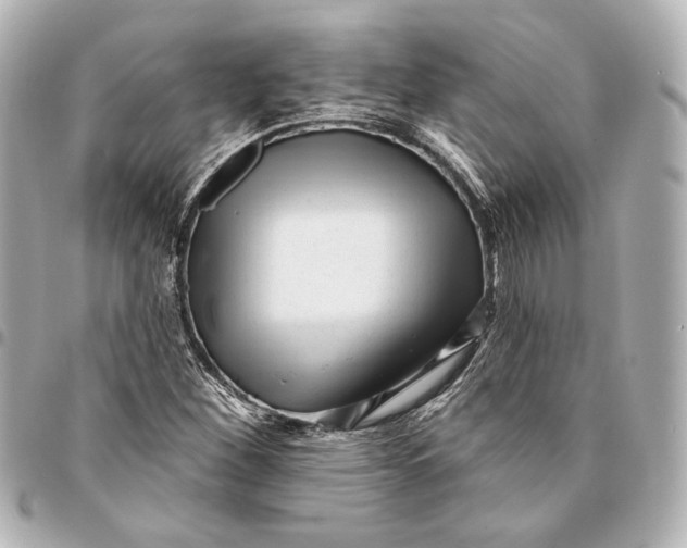 X0000094941260200712201107