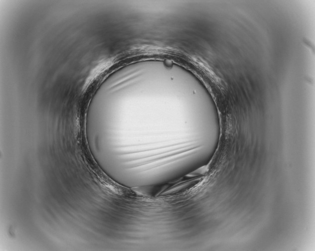 X0000094941261200712201107