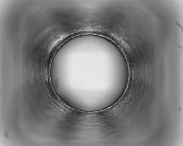 X0000094941262200712201107