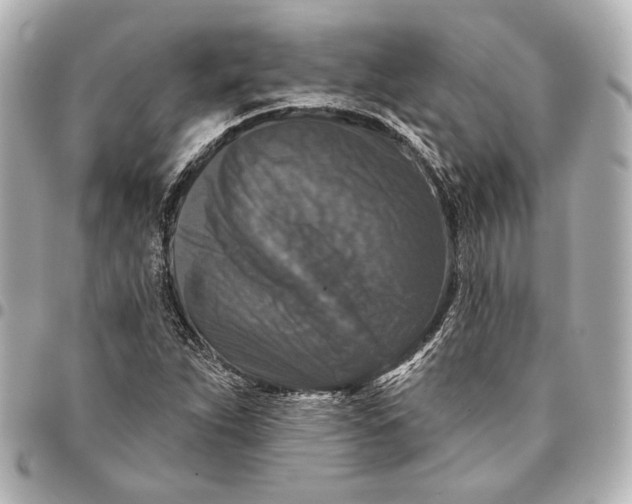 X0000094941263200712201107