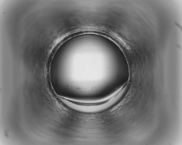 X0000094941264200712201107