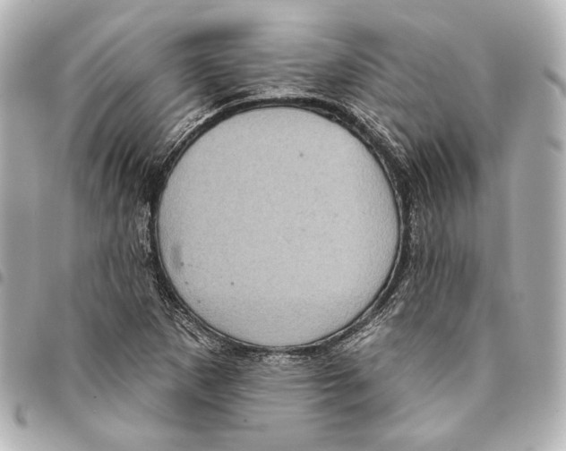 X0000094941265200712201107