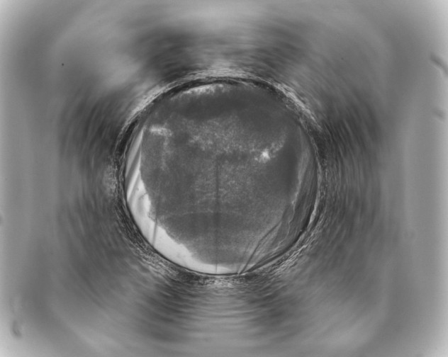 X0000094941266200712201107