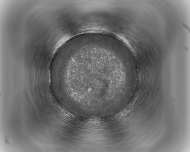 X0000094941267200712201107