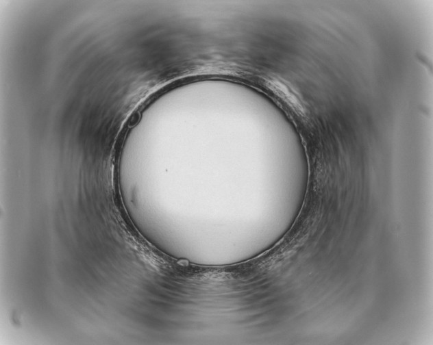 X0000094941268200712201107