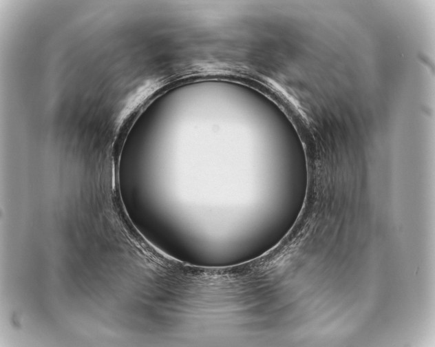 X0000094941269200712201107