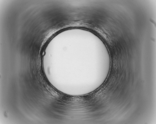 X0000094941270200712201107