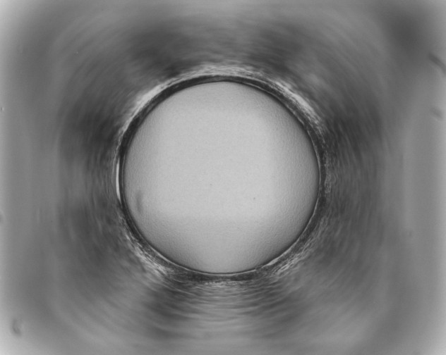 X0000094941272200712201107