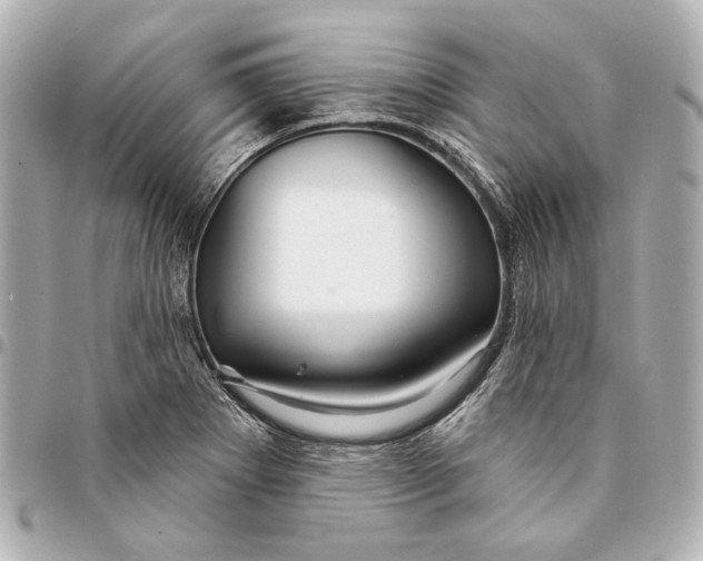 X0000094941273200712201107