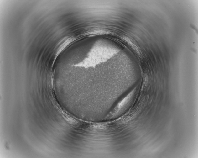 X0000094941274200712201107