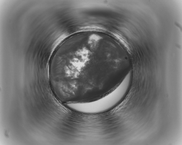 X0000094941275200712201107