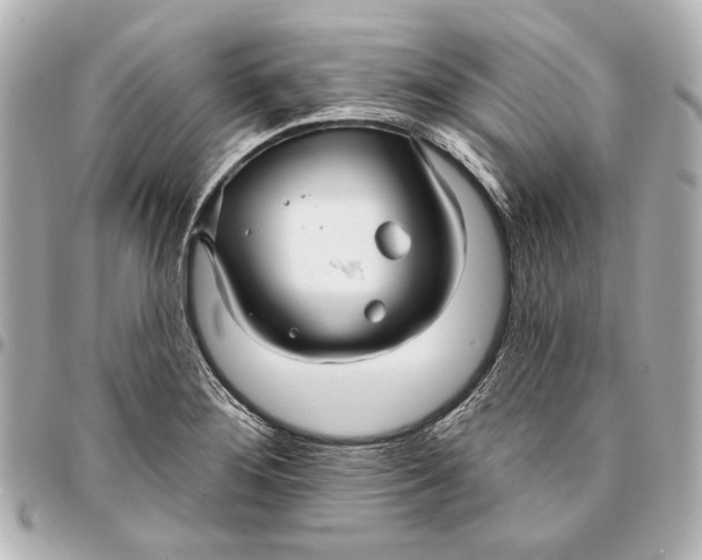 X0000094941276200712201107