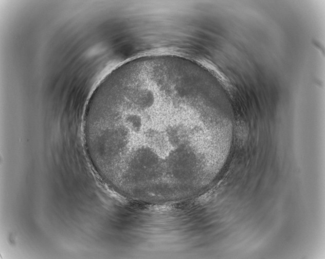 X0000094941278200712201107