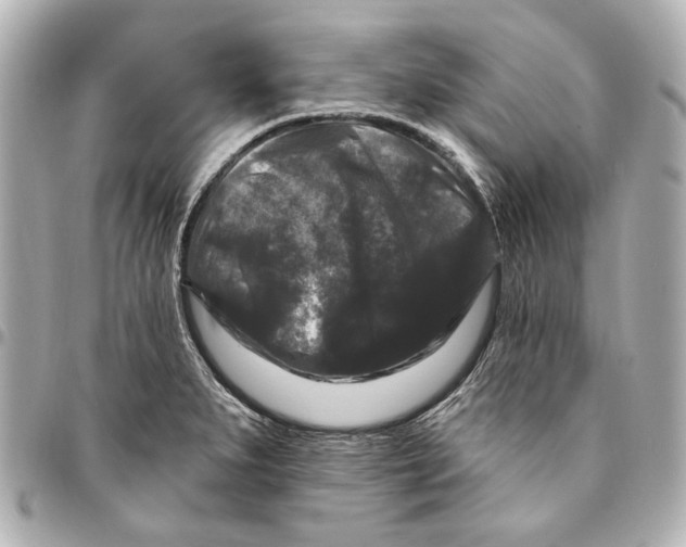 X0000094941279200712201107