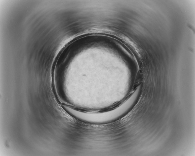 X0000094941280200712201107