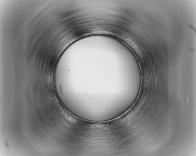 X0000094941281200712201107