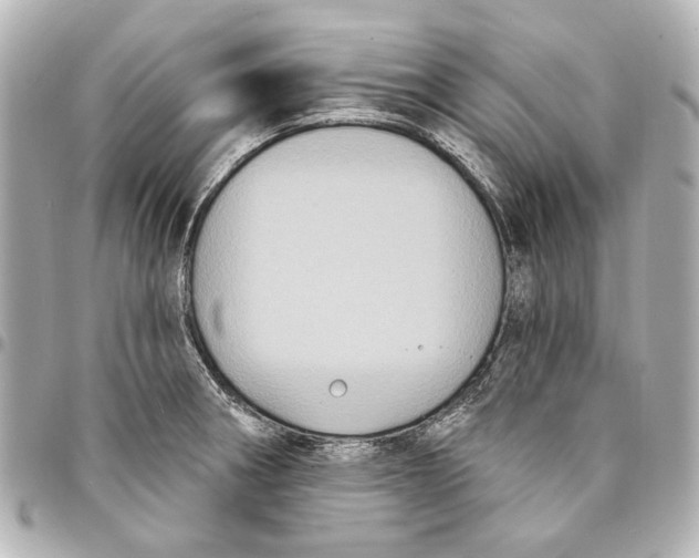 X0000094941282200712201107