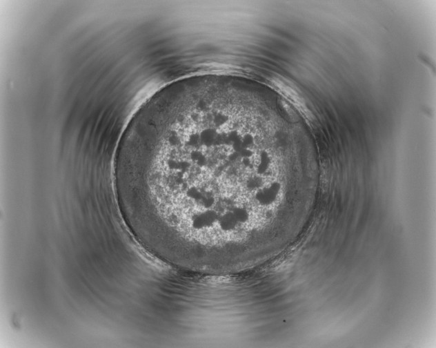 X0000094941283200712201107