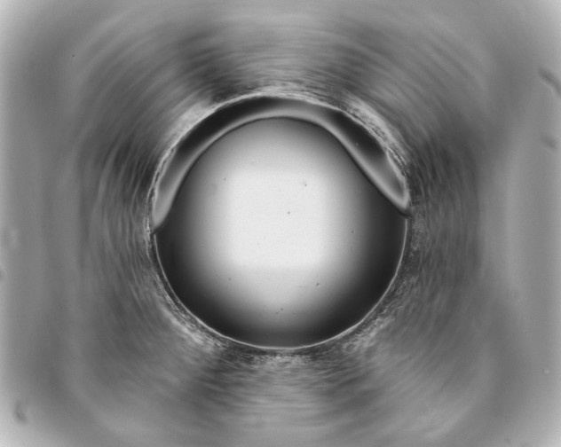 X0000094941284200712201107