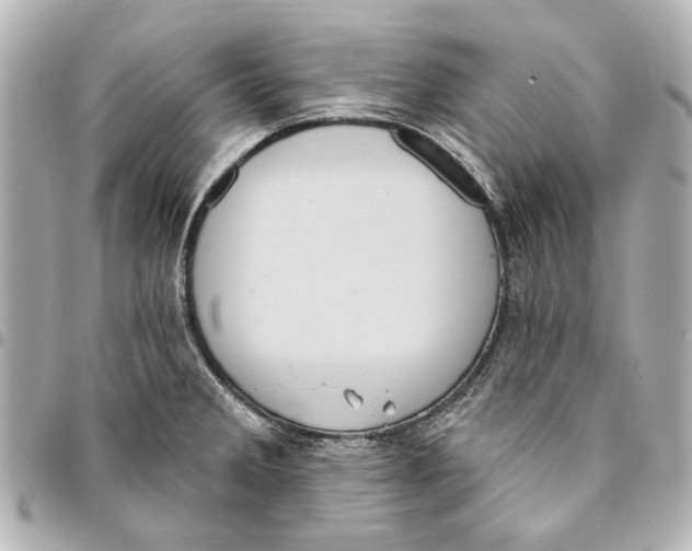 X0000094941285200712201107