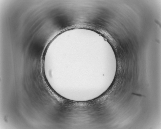 X0000094941286200712201107