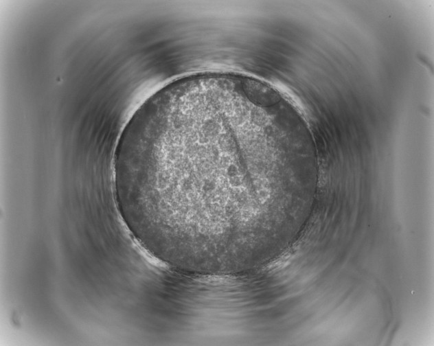 X0000094941287200712201106