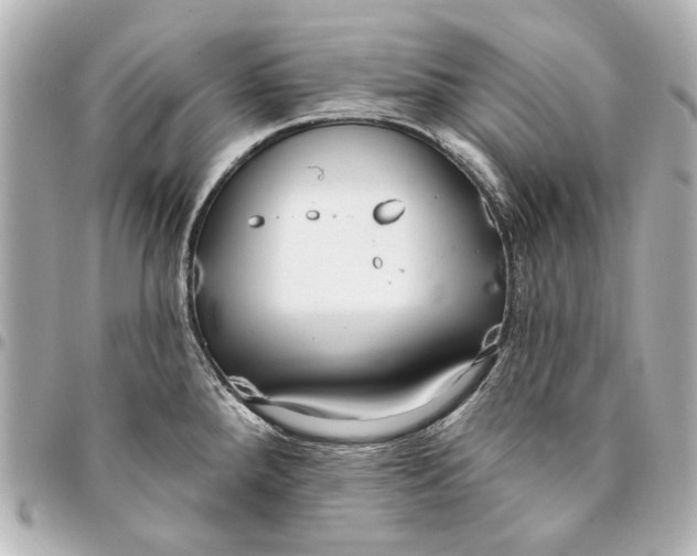 X0000094941288200712201106