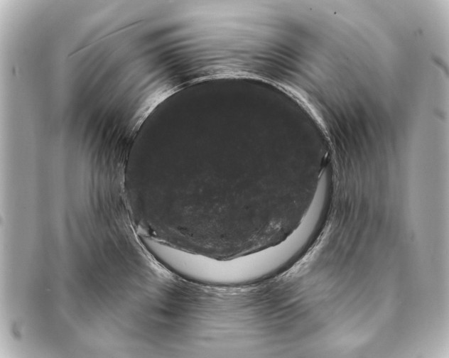 X0000094941289200712201106