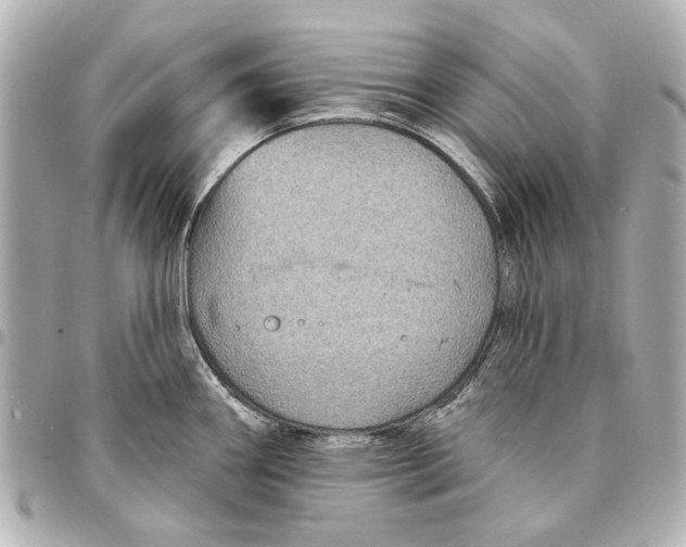 X0000094941290200712201106