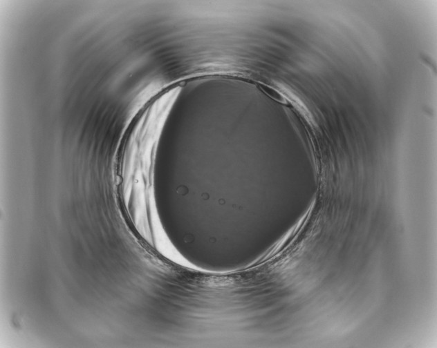 X0000094941291200712201106