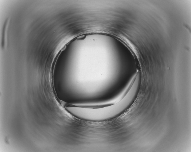 X0000094941293200712201106