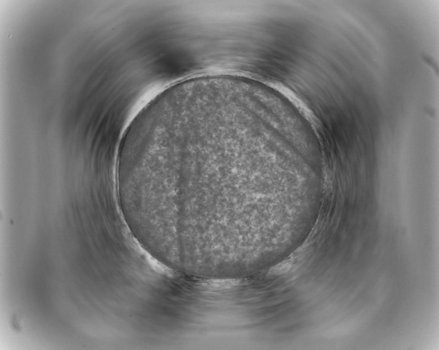 X0000094941294200712201106