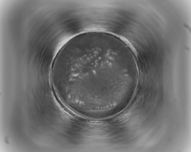 X0000094941295200712201106