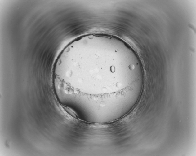 X0000094941296200712201106