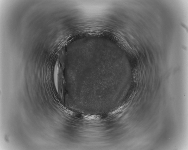 X0000094941298200712201106