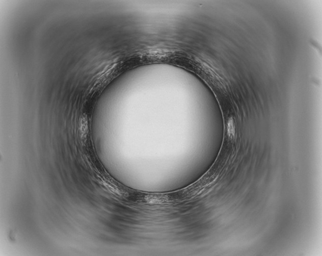 X0000094941299200712201106