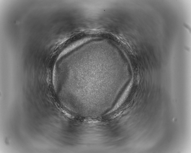 X0000094941301200712201106